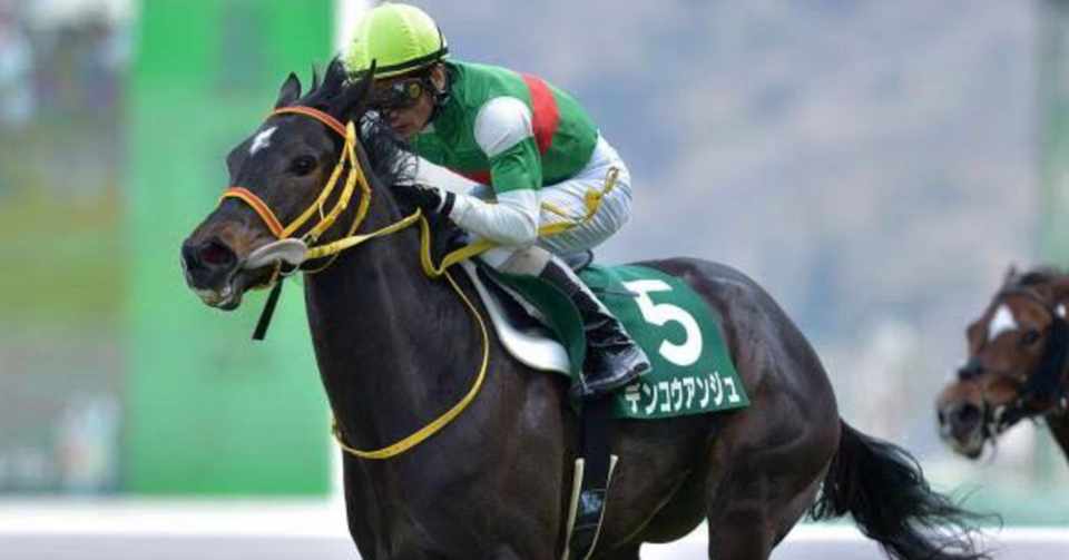 福島牝馬ステークス2020予想 過去の傾向とデータ分析 重賞ナビ