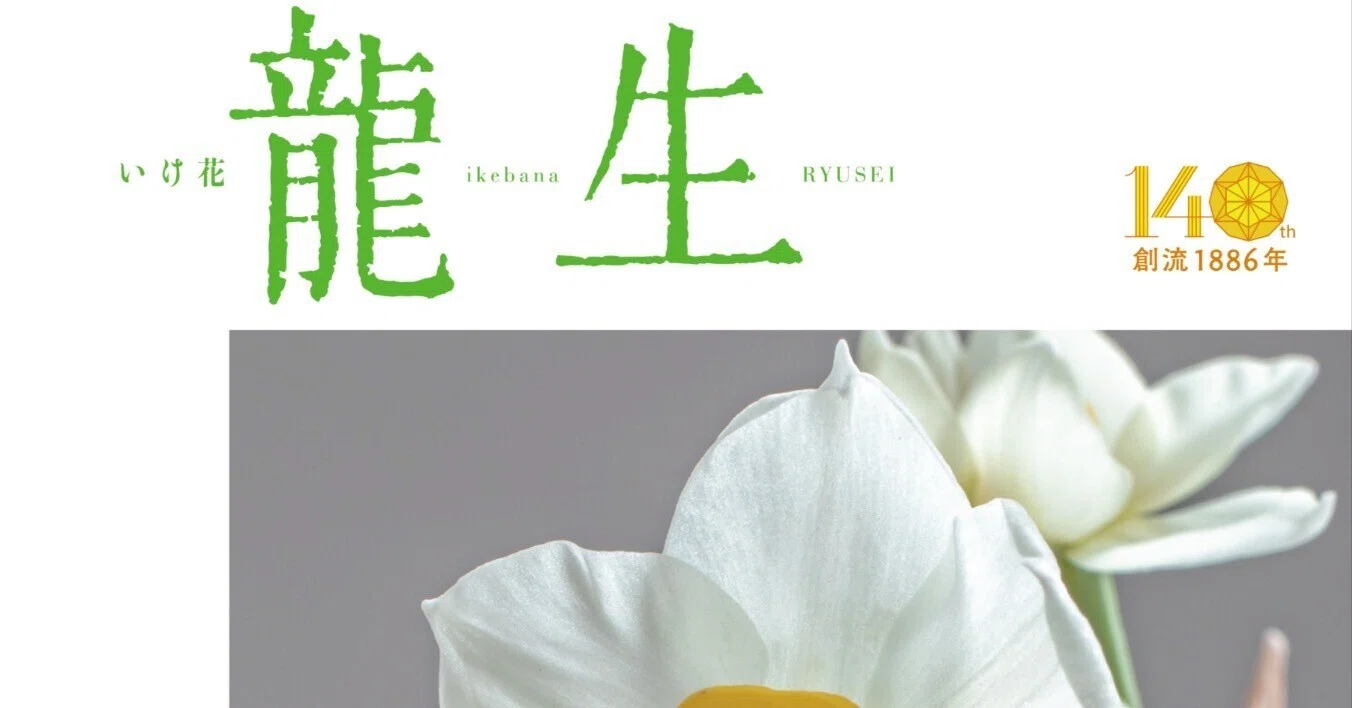 rectangle_large_type_2_e9d98e4