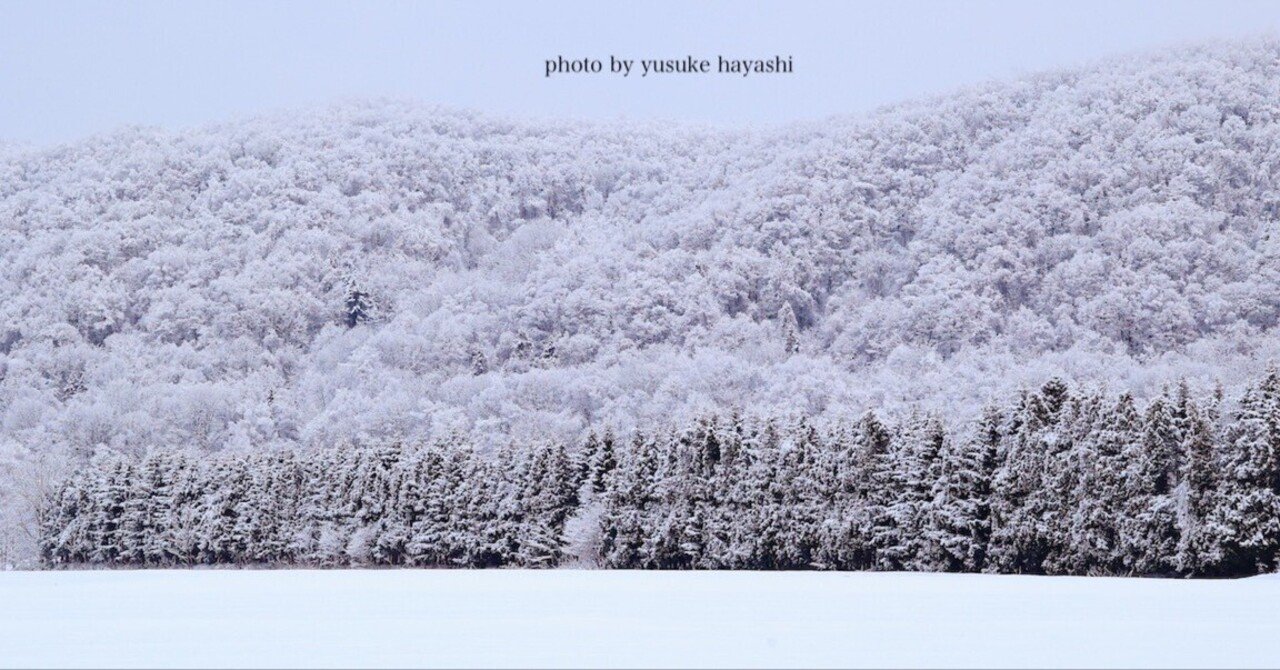 写真表現より大事なもの ｜写真家 林祐介