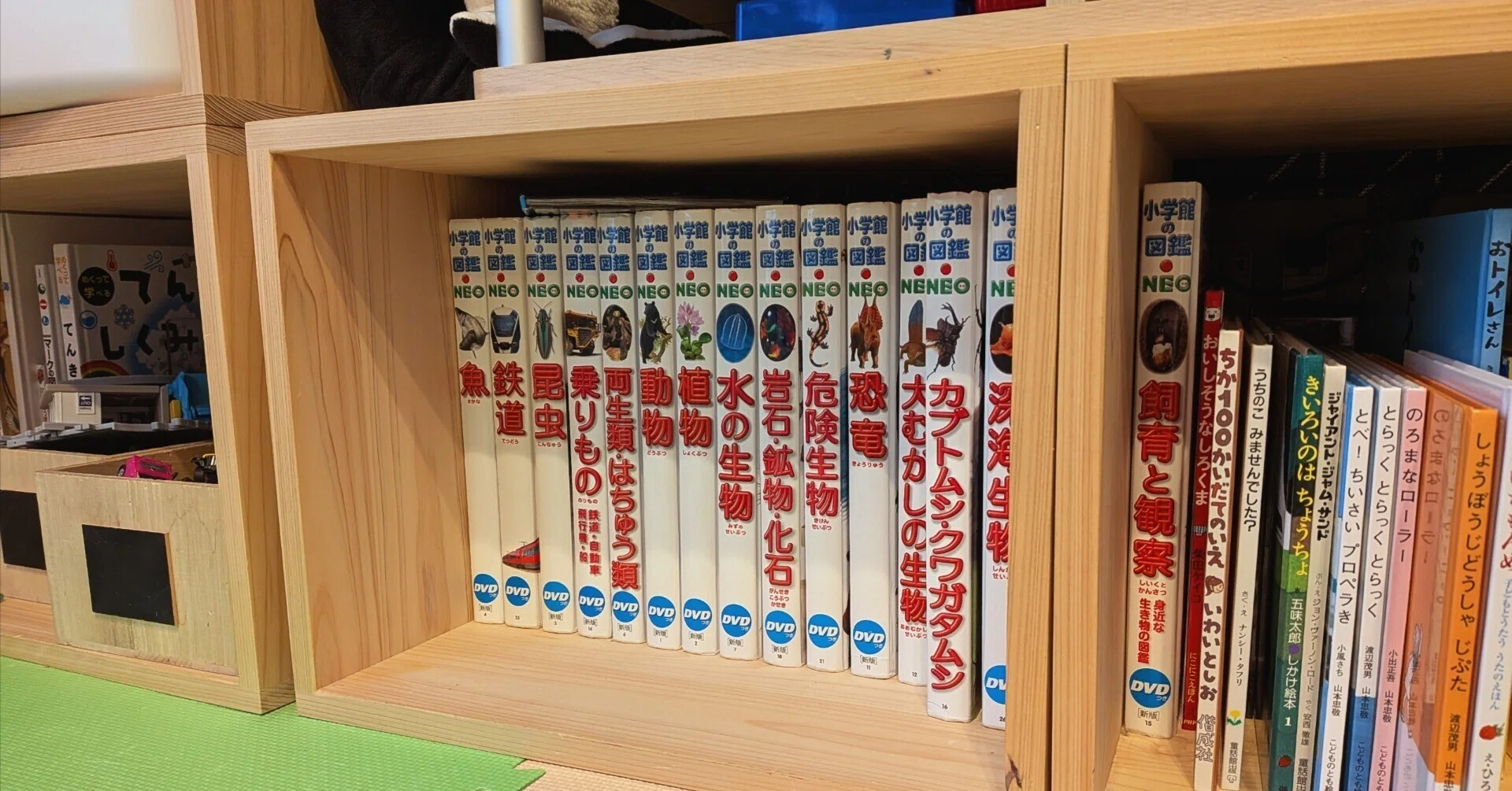 大量の図鑑収納どうしてる？わが家では...｜スコーン