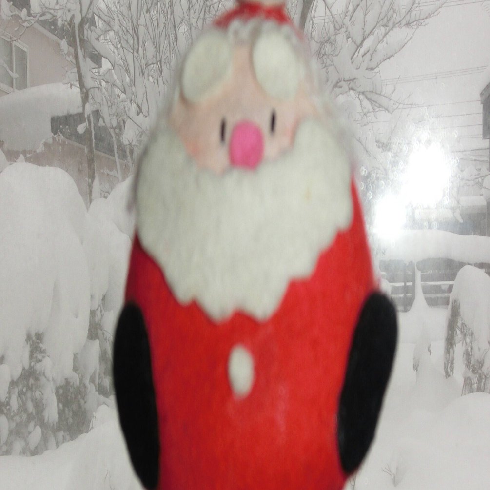 ◇賛多のサプライズメリークリスマススーパーセール☆絶版本？「字喃チュウノム字典」 楽天市場】【マラソン限定 最大2000円OFFクーポン配布】10mmサテン