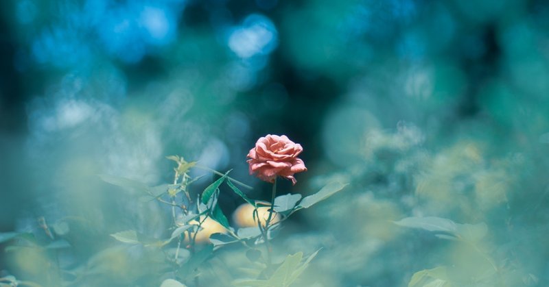 会社で孤立してしまう理由は 誇り高い孤高な人だから すがどん note