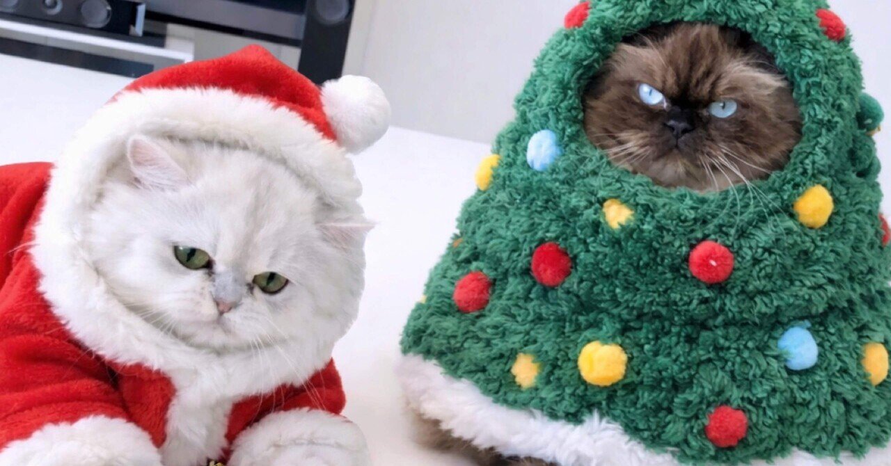 怒りん坊のサンタクロース｜吉田あや