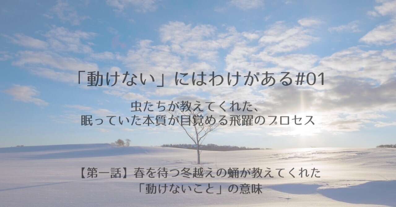 動けない」にはわけがある #01｜虫たちが教えてくれた、眠っていた本質が目覚める飛躍のプロセス｜Life Transition Magazine  【LITRA】