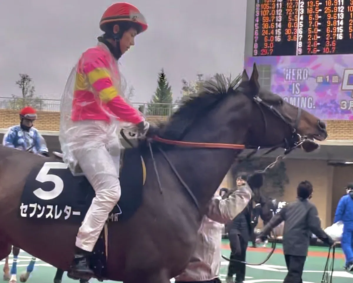 最愛の競走馬へ贈る手紙｜ときわ