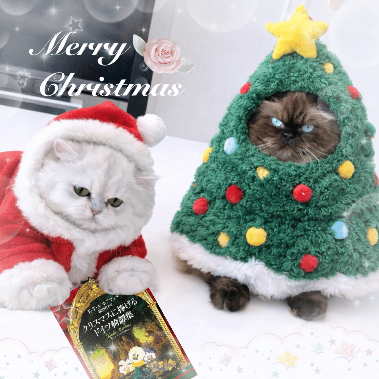 怒りん坊のサンタクロース｜吉田あや