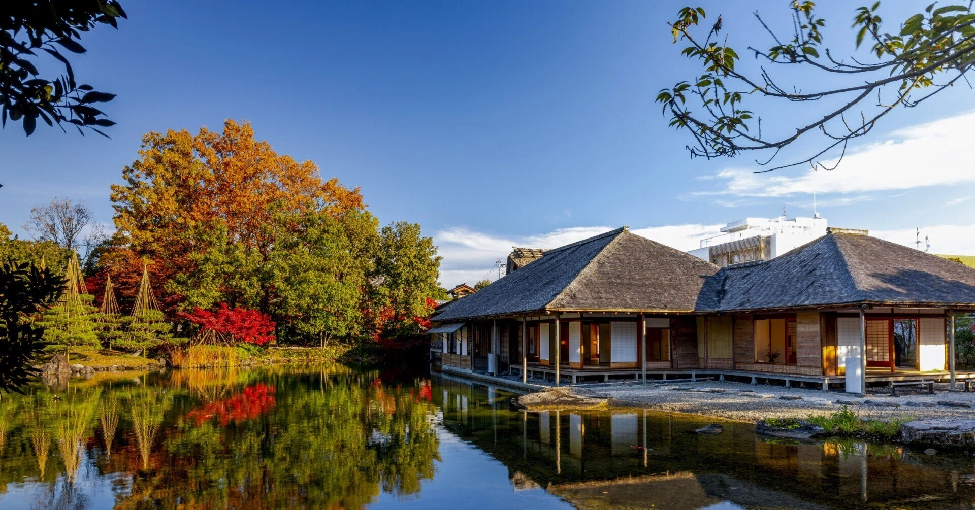 名勝 養 浩 館 庭園