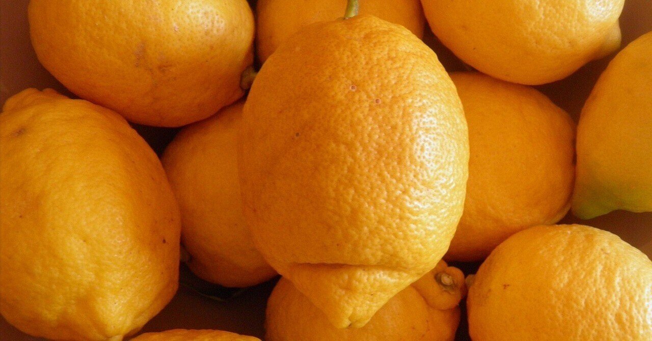 檸檬（mota.ver）｜motacilla