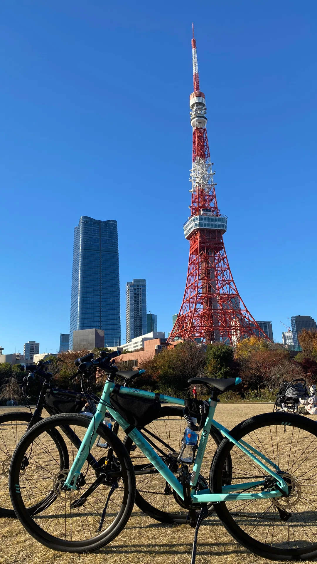 自転車 ほとんど新しい自転車 (Almost new bicycle)