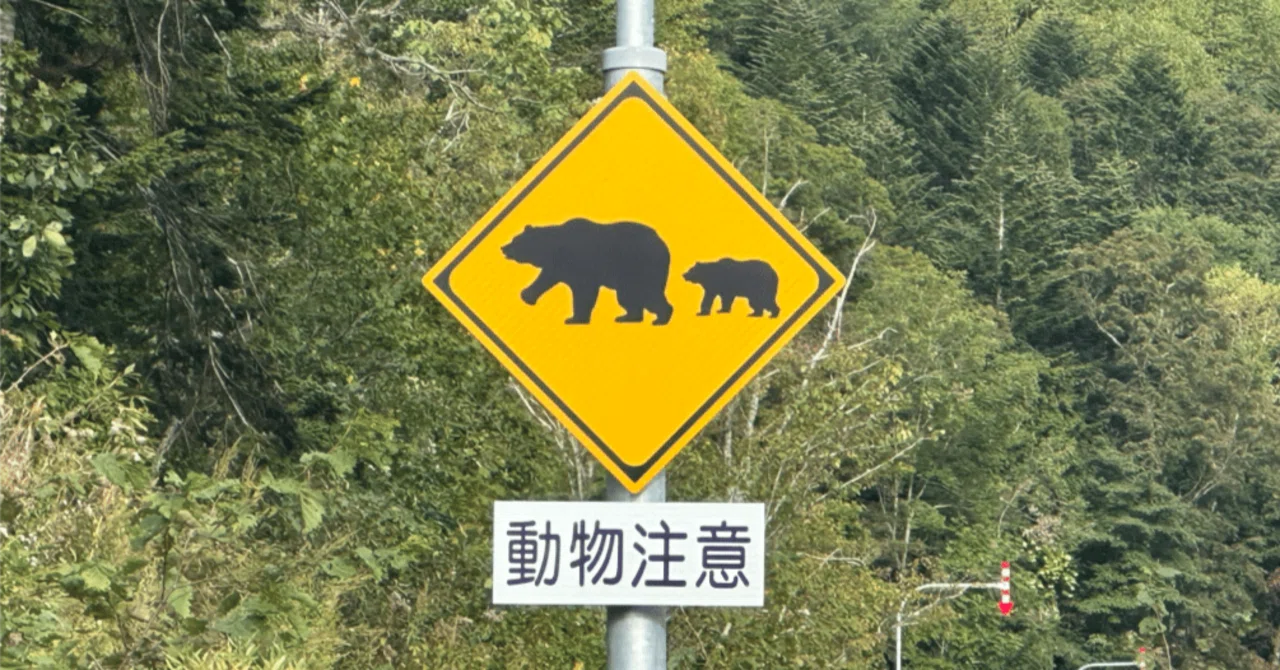 佐久間町の周りでの、クマ 目撃情報について（注意喚起）を書いてみ