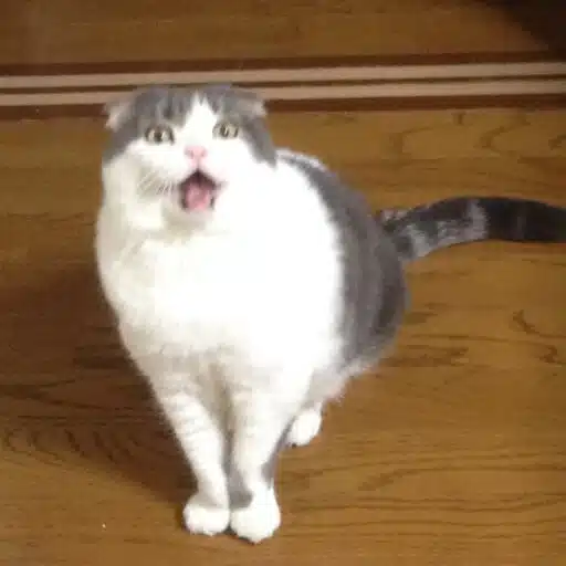 江守