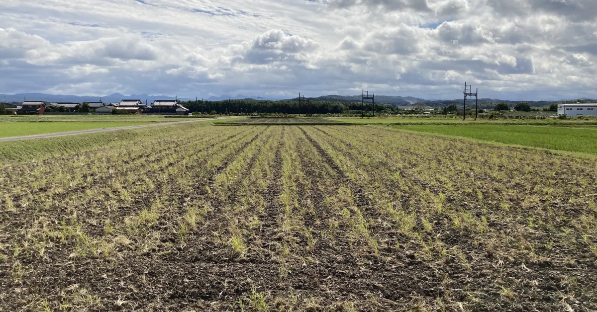 Direct Planting Machine On the Potential of Direct Seeding Cultivation|三島真一