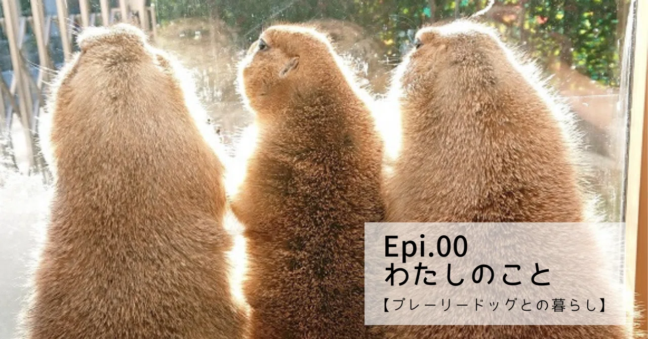 Epi.00 About Me [Living with Prairie Dogs]｜ひなりんぐ