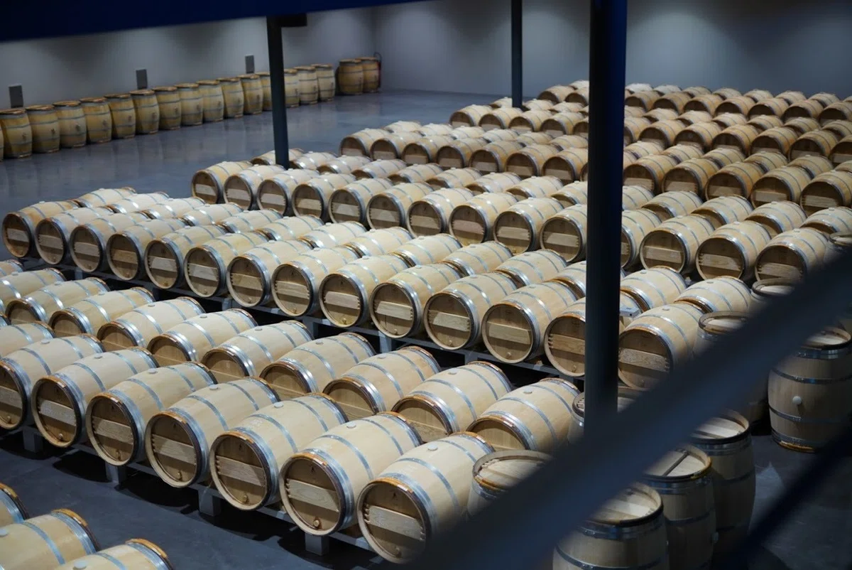 #3 [Inside the Sommelier's Mind] The Most Important Thing in Wine ...