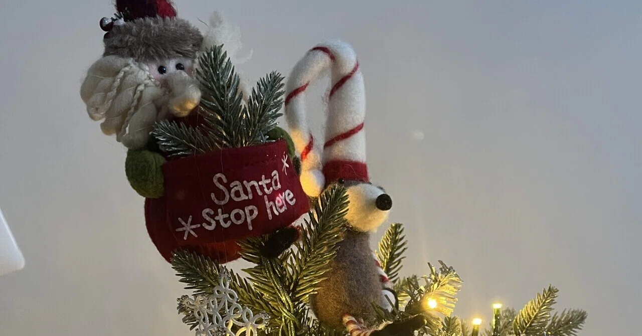 帰宅して、そしてクリスマス。｜由香璃。