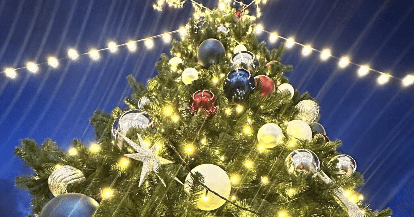 🌍 「聖夜の静寂」と「期待の波乱」｜グローバル市場アップデート：2025年12月25日（木）朝6時｜Global Marketの羅針盤│リスクコンサル