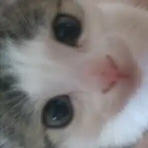 昇