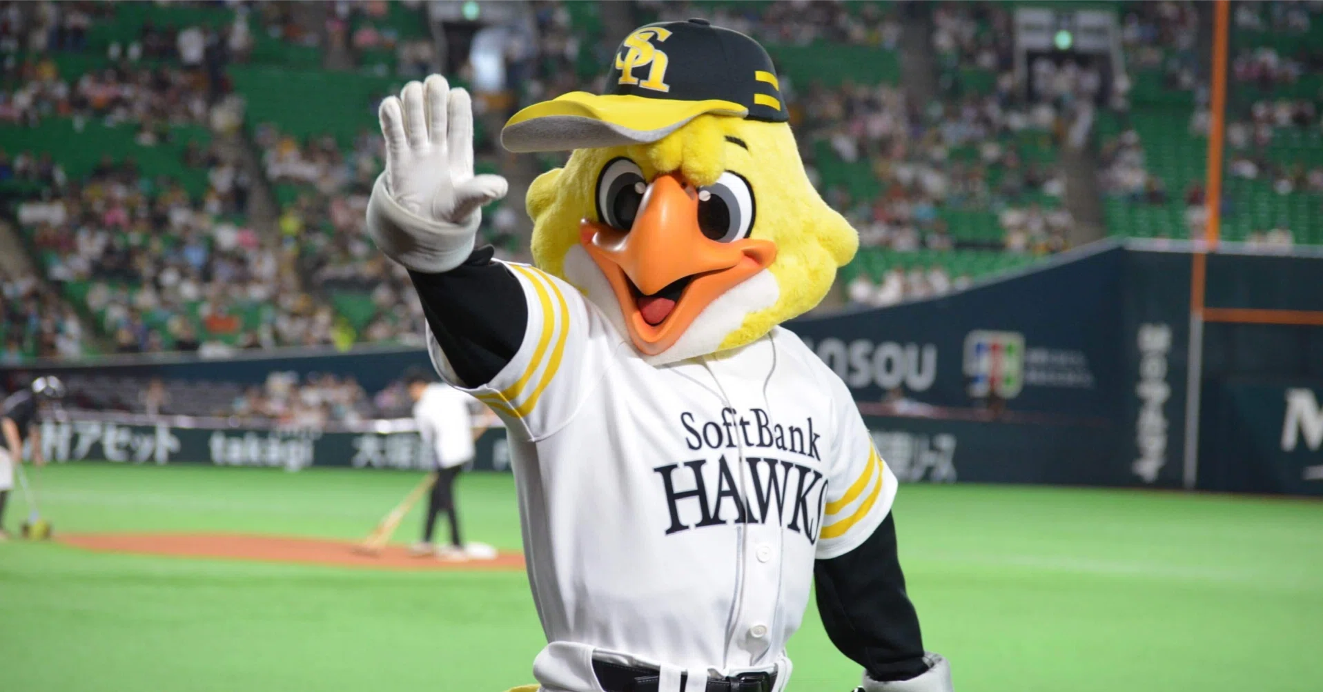 Active Draft Review: Fukuoka SoftBank Hawks Edition｜Edelhi_Bootsvorz