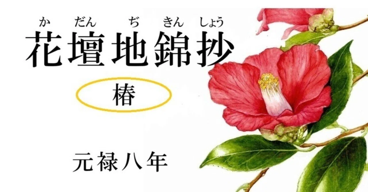 花壇地錦抄 （見驚 / 熊坂）｜伊藤伊兵衛 note