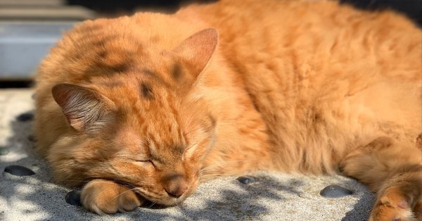 仁平幸春の考え｜仁平 幸春｜アーティスト｜note