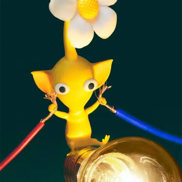 蓮の葉