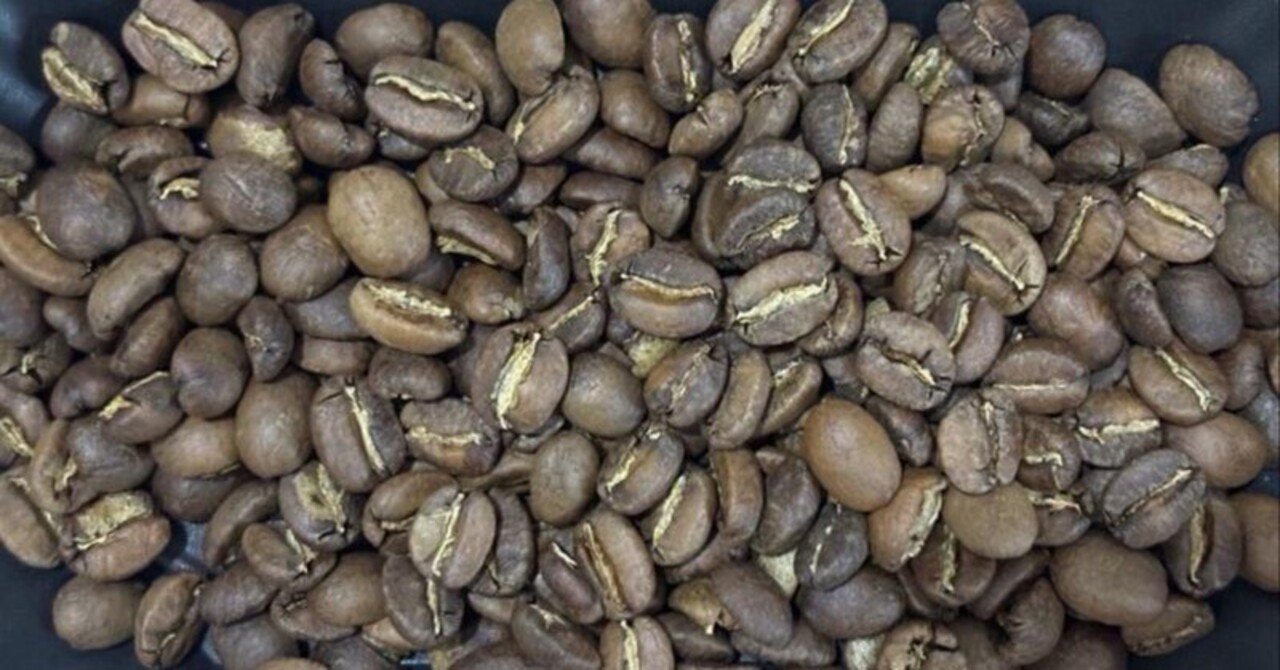 焙煎5回目 ケニア マサイ AA｜PECOFFEE