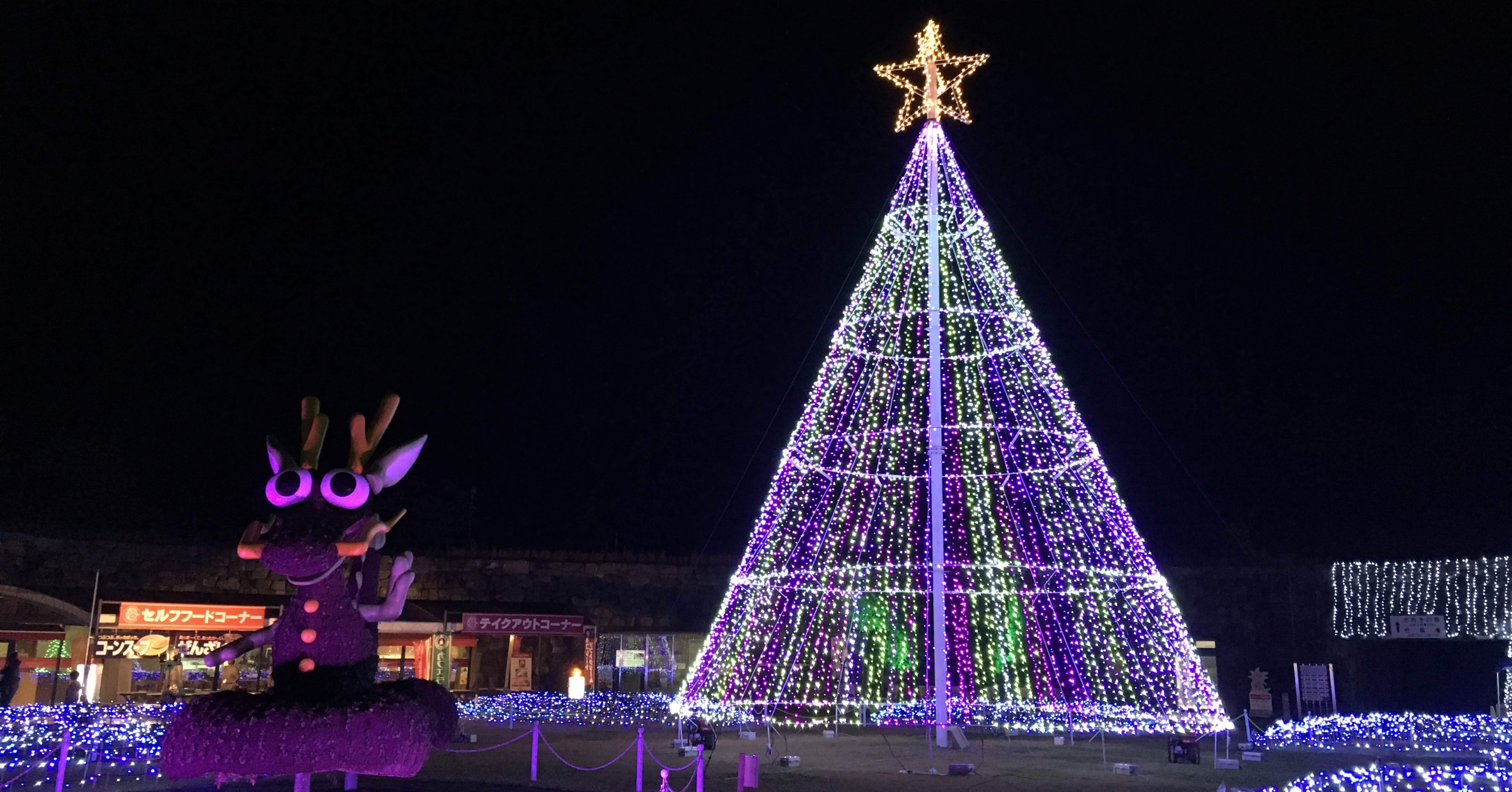 まんのう公園】極寒のイルミネーション｜taichi.town