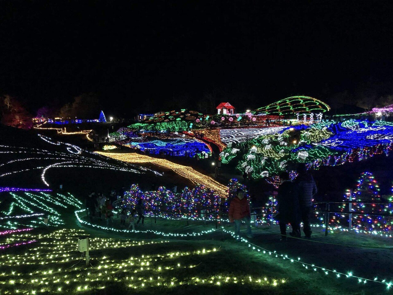 まんのう公園】極寒のイルミネーション｜taichi.town