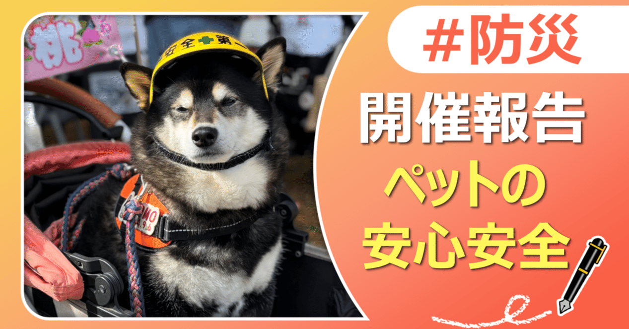 横浜市】SEASIDE DOGRUNイベント参加報告🐕｜J:COM地域取材ノート