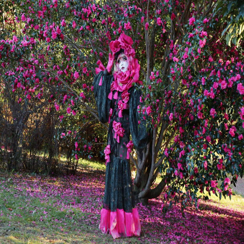 花言葉シリーズ「山茶花」｜minori