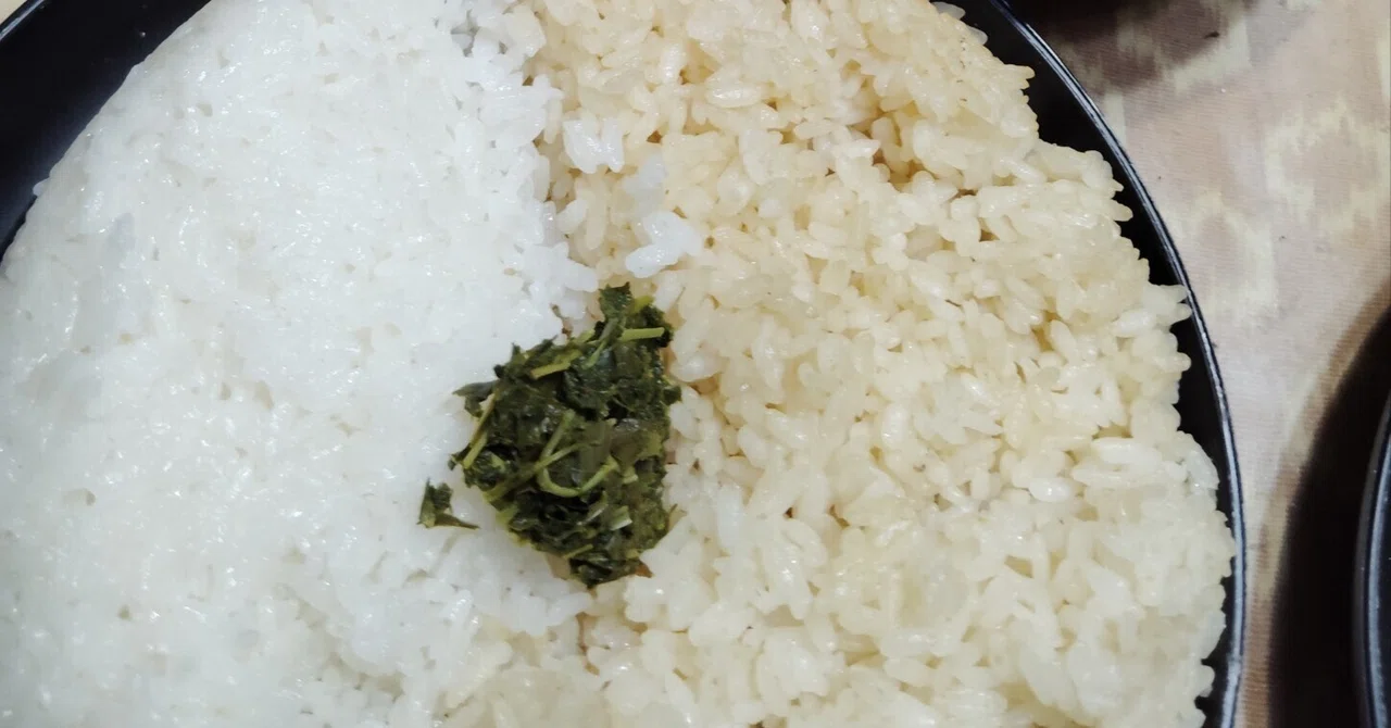 The Potential of Dashi Koji, Part 3: 'Scientifically Analyzing Koji'｜ペアブルー