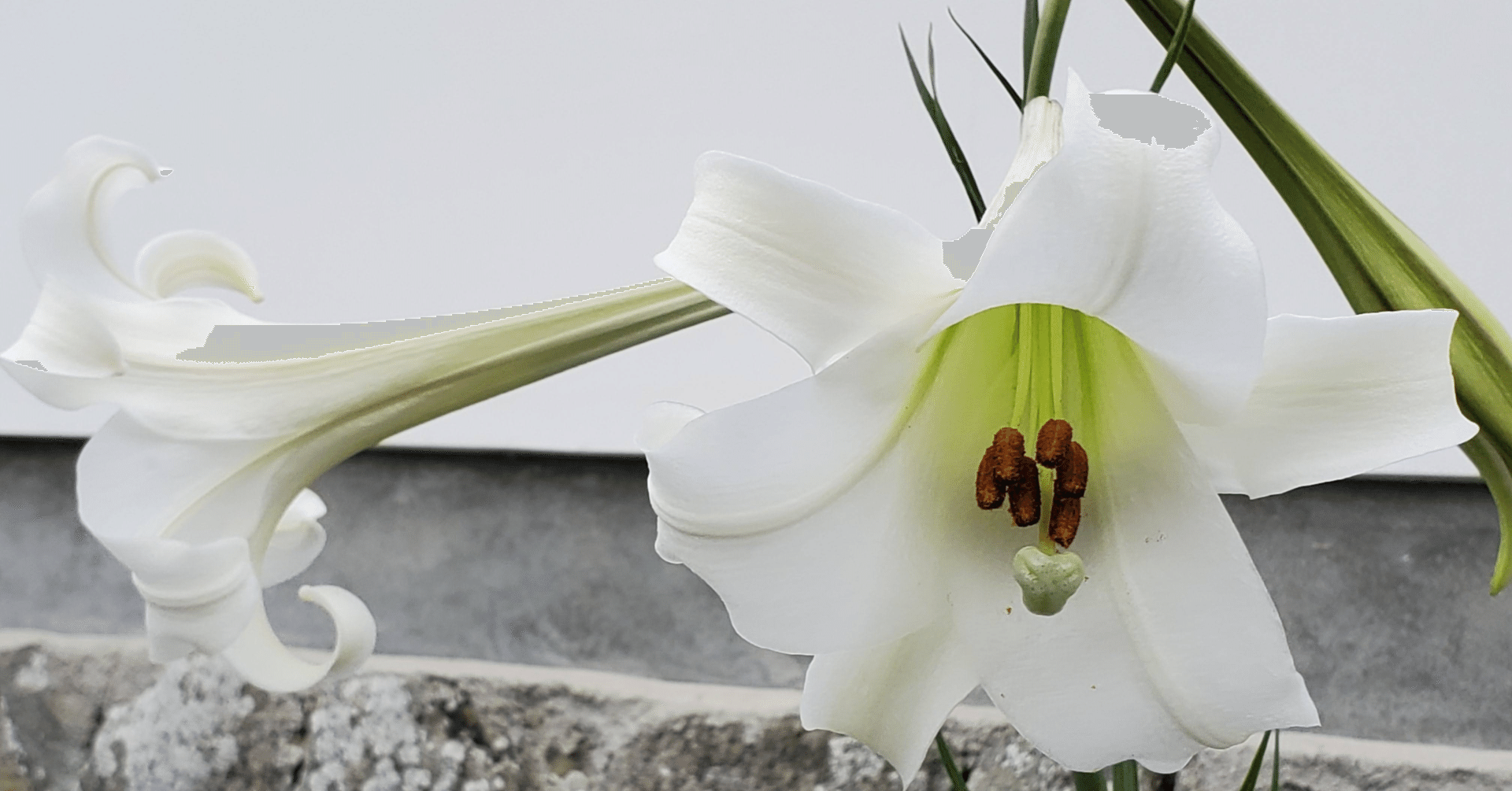 登記研究934号（令和7年12月号）｜sunao