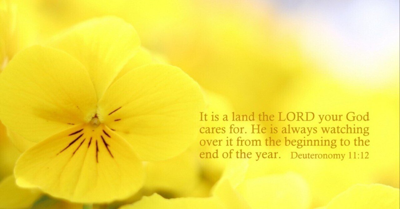 恵みの一年｜バイブルライン