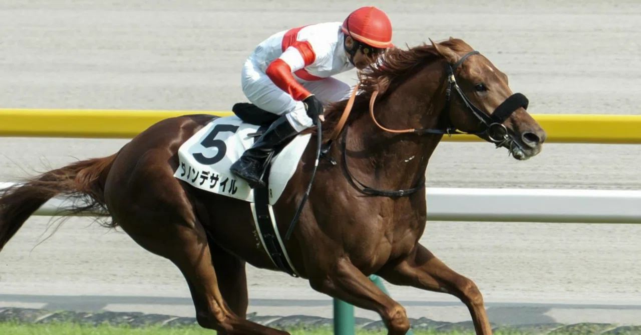 📖【有馬記念物語】ダノンデサイル──“ダービーの衝撃”から、冬の主役
