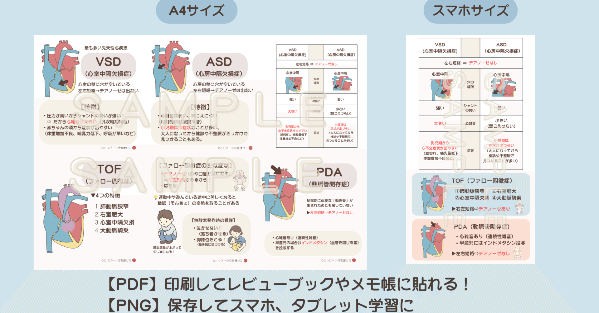 国試頻出】先天性心疾患4大ボスを1枚で攻略！「まとめお守りシート