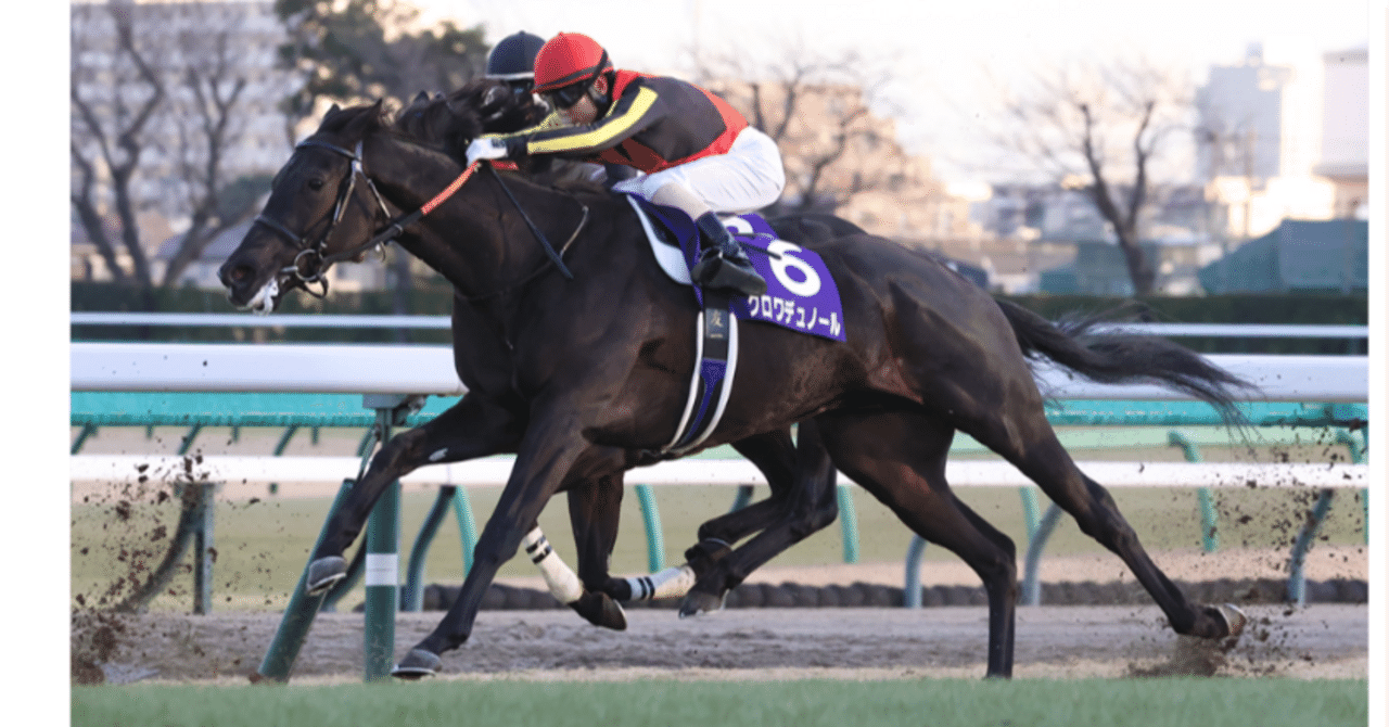 ホープフルステークス 2025 優勝馬は確かに2枠に配置｜宮兼