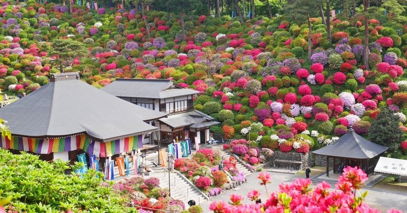塩船観音寺もこもこツツジ 東京 青梅 17 5 ひまり Note 塩船観音寺もこもこツツジ 東京 青梅 17 5 ひまり Note