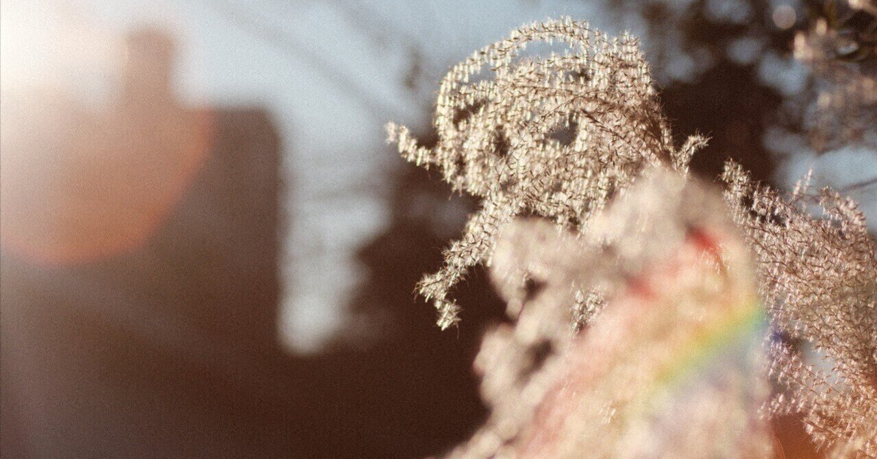 XR RIKENON 55mm f1.2 ｜月曜休み。