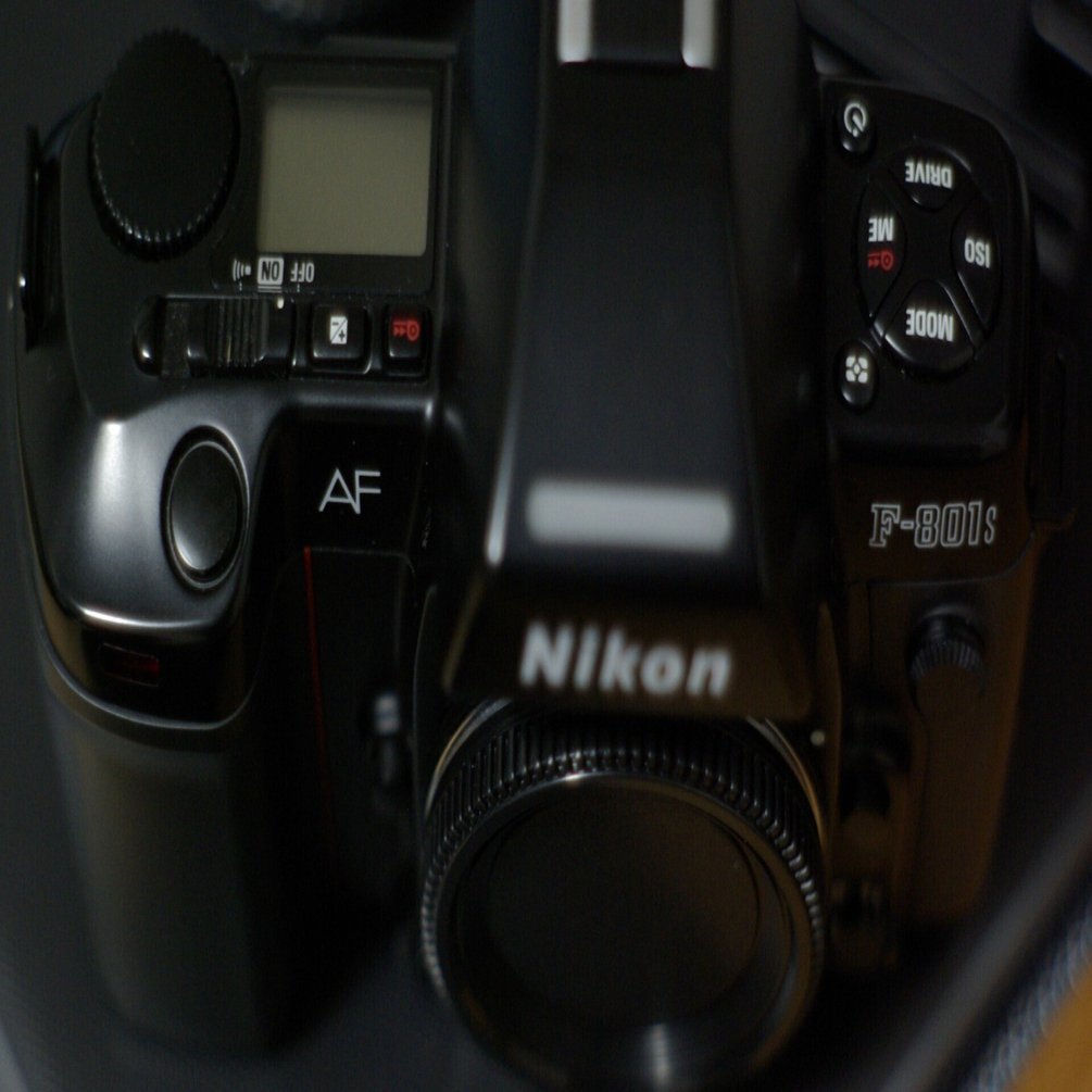 Nikonのフィルムカメラを使ってみませんか。｜永瀬喜久