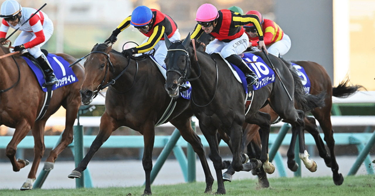 菊花賞からジャパンカップに出走した3歳馬の成績とその後の成績｜ぱねす