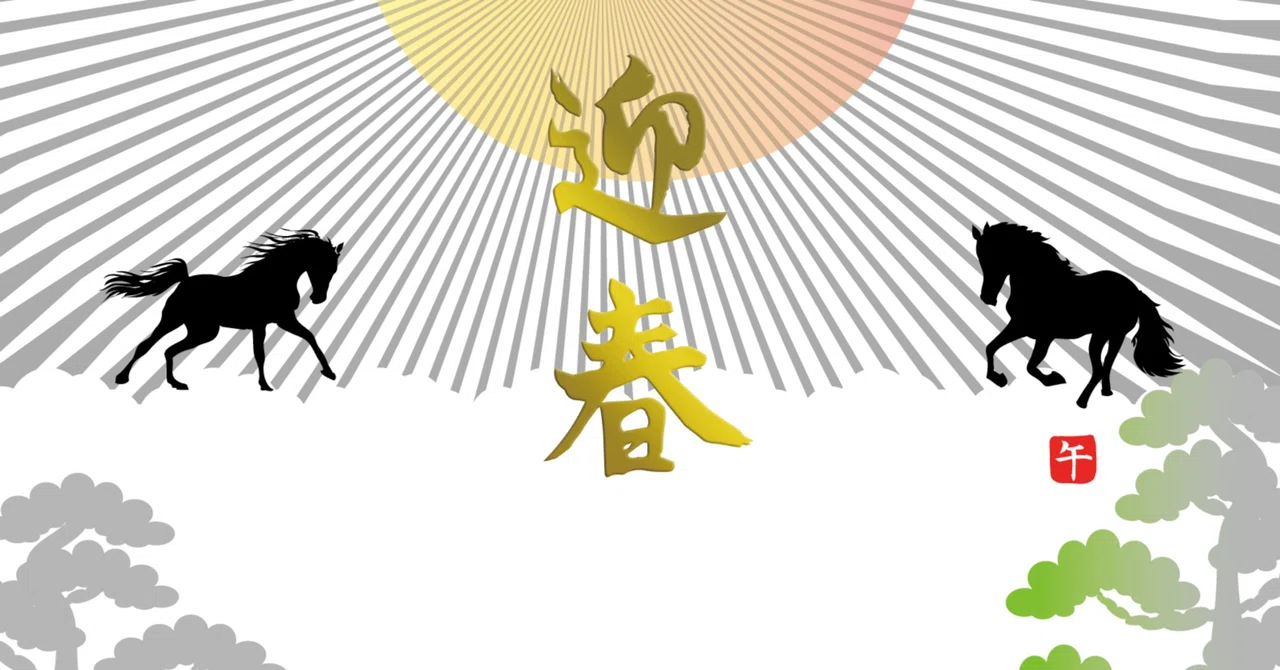 Happy New Year｜白狂