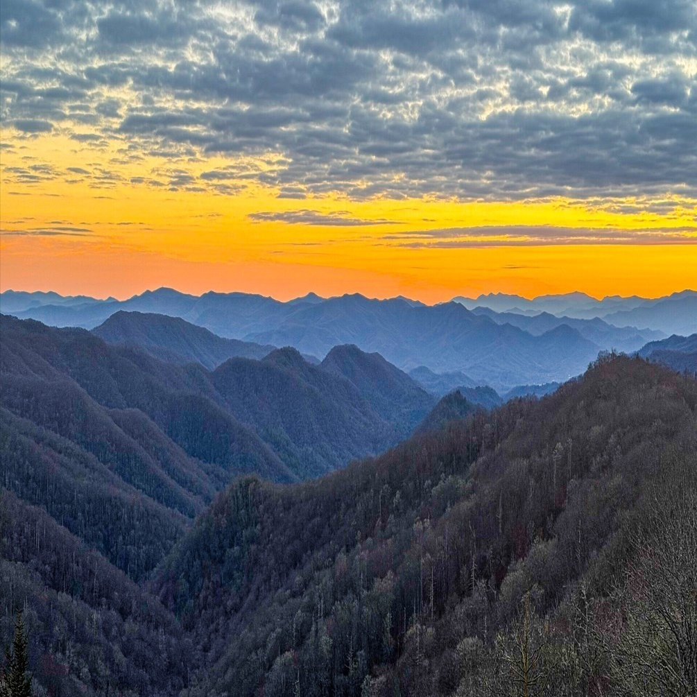 桁違いのグレートスモーキー山脈国立公園｜Katsuya Shiratori