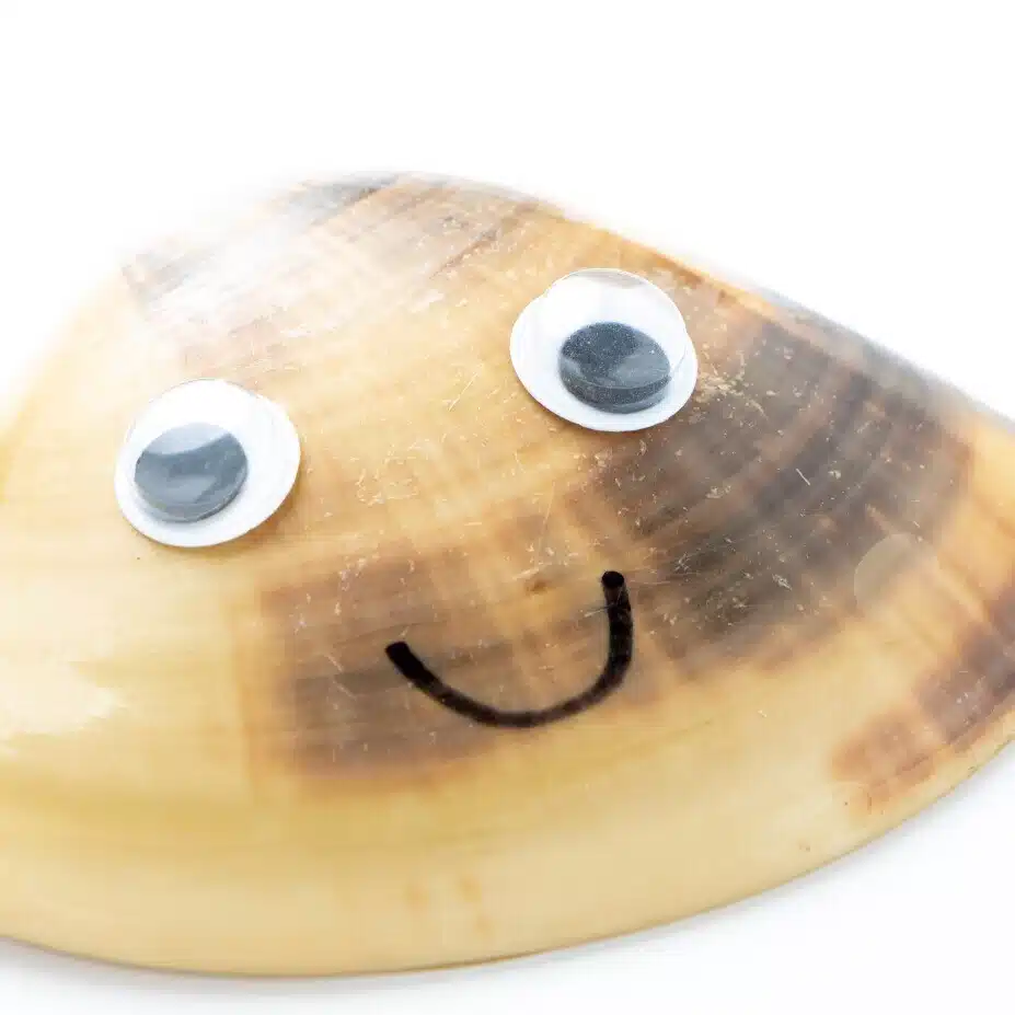 chari_hoi
