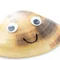 chari_hoi
