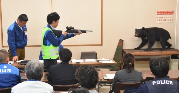 獣害対策公務員モチヅキ - クマ｜noteふくちやま 【京都府福知山市公式】