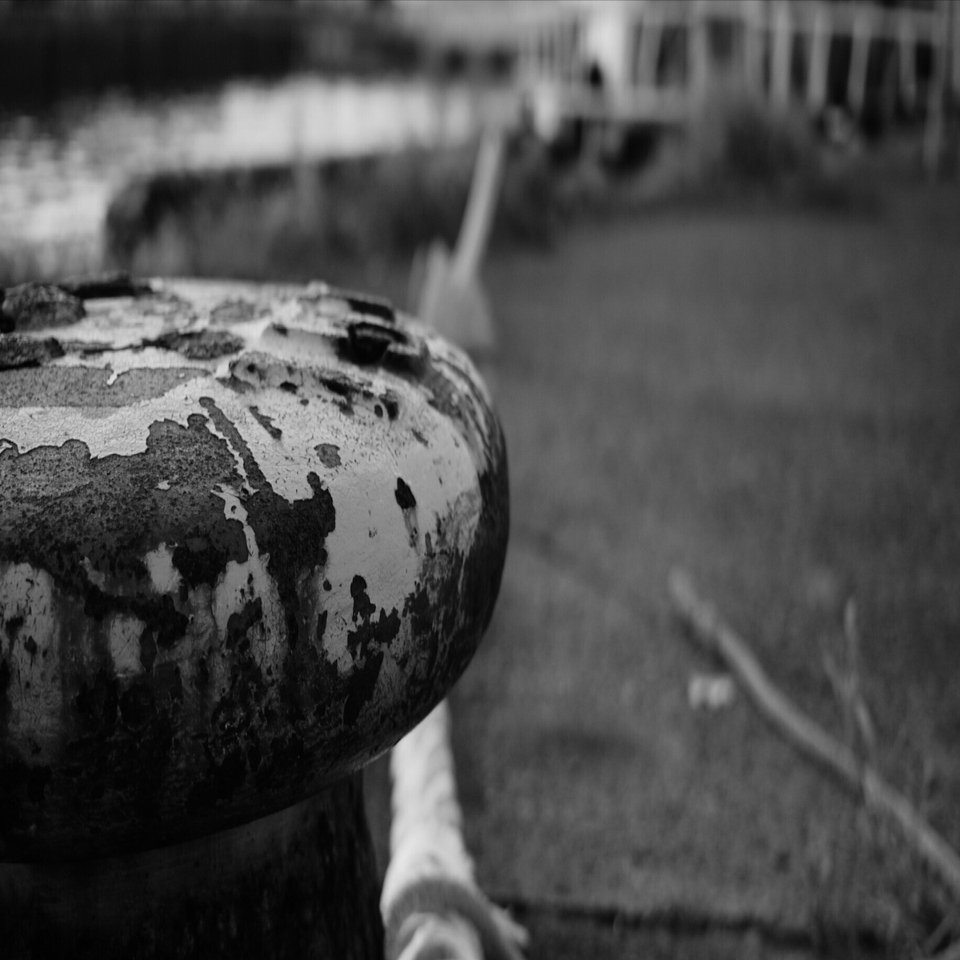 レンズ沼あれこれ：フォーサーズの25mmレンズで、やっぱり単焦点が性に