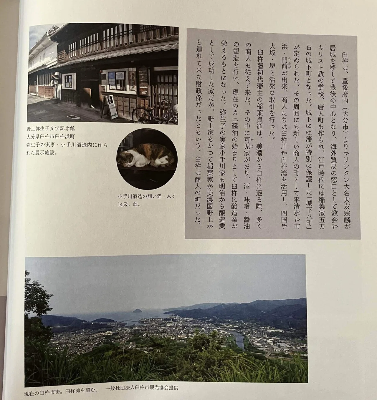 夏目漱石と野上豊一郎・弥生子｜みゃおん