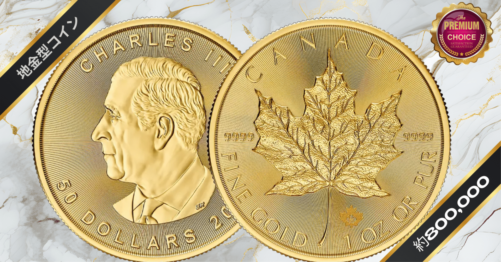 超大型】2021 カナダ 50ドル シルバーコイン ５OZ ５オンス カナダ 2025 チャールズ3世