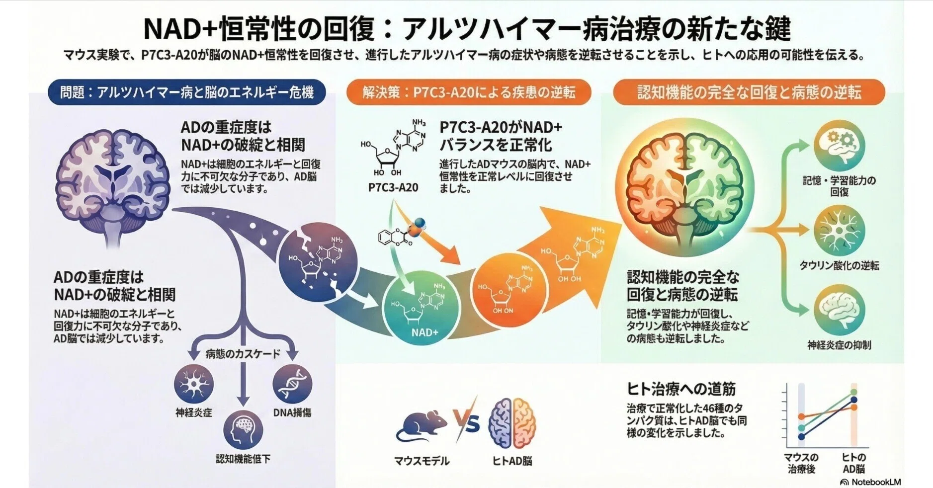 アルツハイマー病（AD）は可逆かもしれない｜Makisey