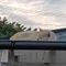 寒晴れ